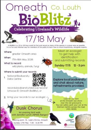 Omeath Bio Blitz Celebrationg Irelands Wildlife May 2026